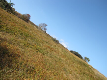 20080926 172004